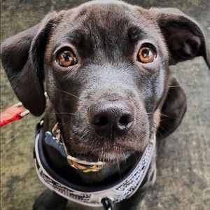 Meet your Posher, Kaia